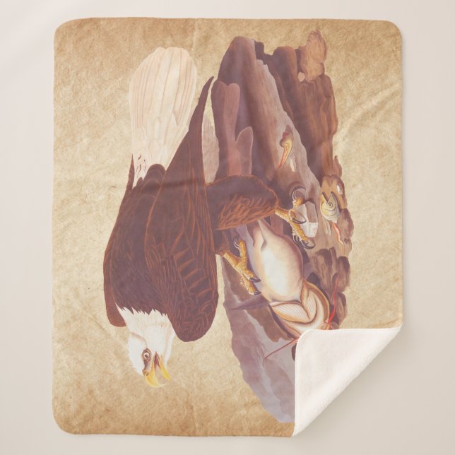 Audubon Classic Bald Eagle with Fresh Catch Fish Sherpa Blanket (Front)