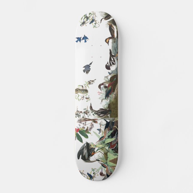 Audubon Collage Birds Wildlife Animals Skateboard Deck (Front)