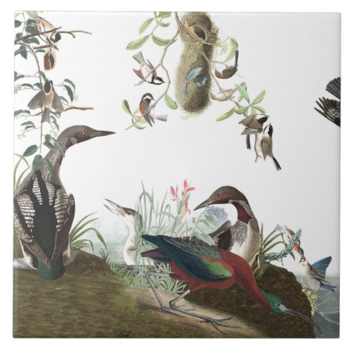 Audubon Collage Birds Wildlife Animals Tile