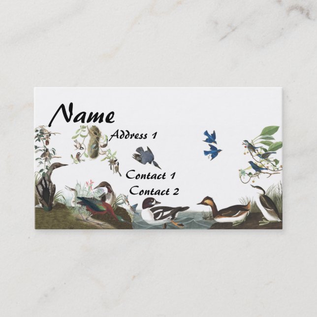 Audubon Collage Birds Wildlife Business Card (Front)