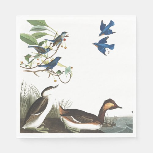 Audubon Collage Birds Wildlife Paper Napkins