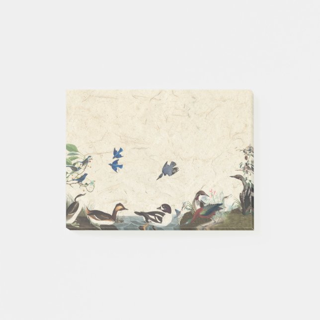 Audubon Collage of Birds Wildlife Post It Notes (Front)