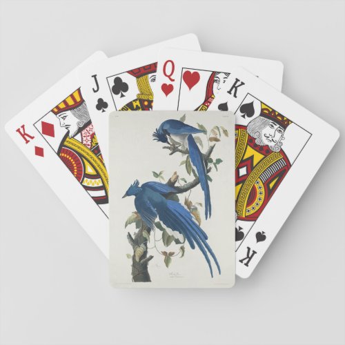 Audubon Columbia Jay Black Throated Magpie Jay Playing Cards