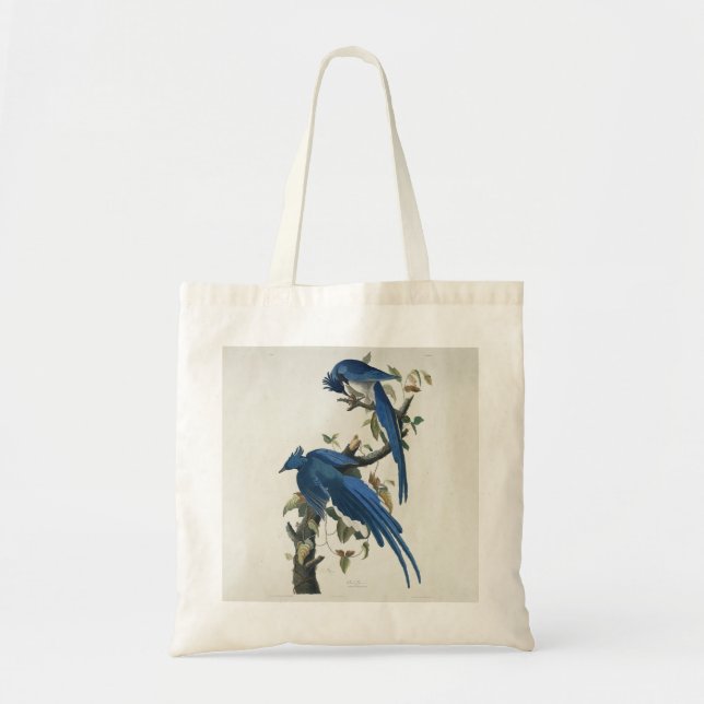 Audubon Columbia Jay Black Throated Magpie Jay Tote Bag (Front)