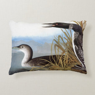 Audubon: Common Loon Accent Pillow