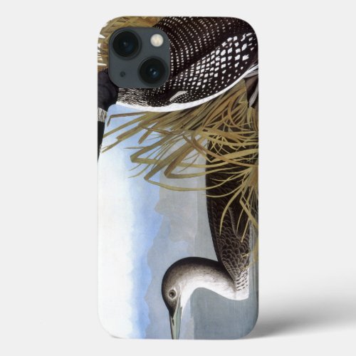 Audubon Common Loon iPhone 13 Case