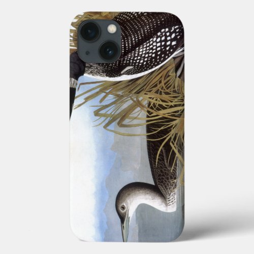 Audubon Common Loon iPhone 13 Case