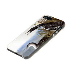Audubon: Common Loon Metallic Phone Case For iPhone SE/5/5s