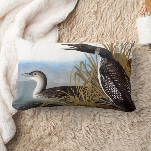 Audubon: Common Loon Lumbar Pillow | Zazzle