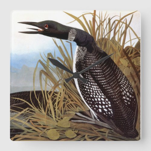 Audubon Common Loon Square Wall Clock