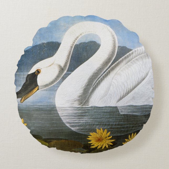 Audubon: Common Swan Round Pillow (Front)