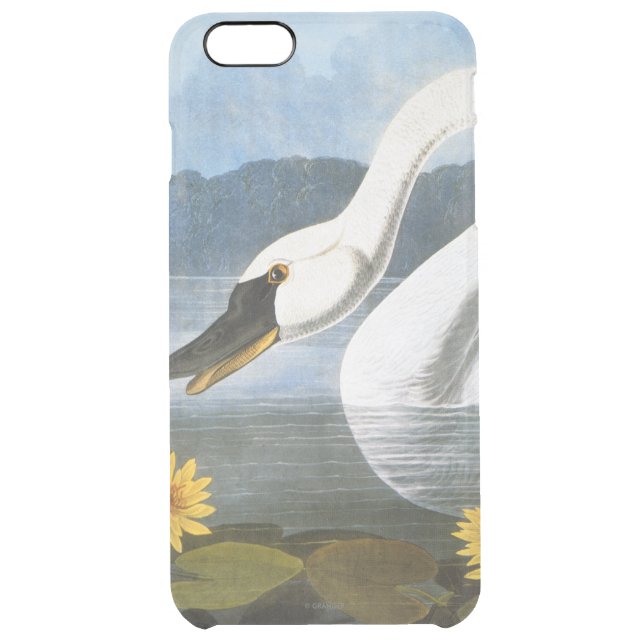 Audubon: Common Swan Uncommon iPhone Case (Back)