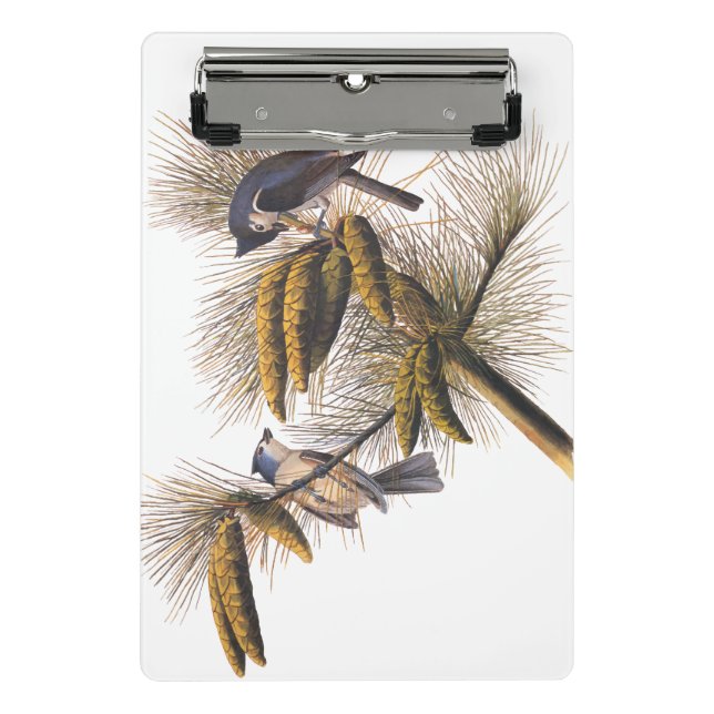Audubon Crested Titmouse Birds in Pine Tree Mini Clipboard (Front)