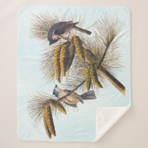 Audubon Crested Titmouse Birds in Pine Tree Sherpa Blanket