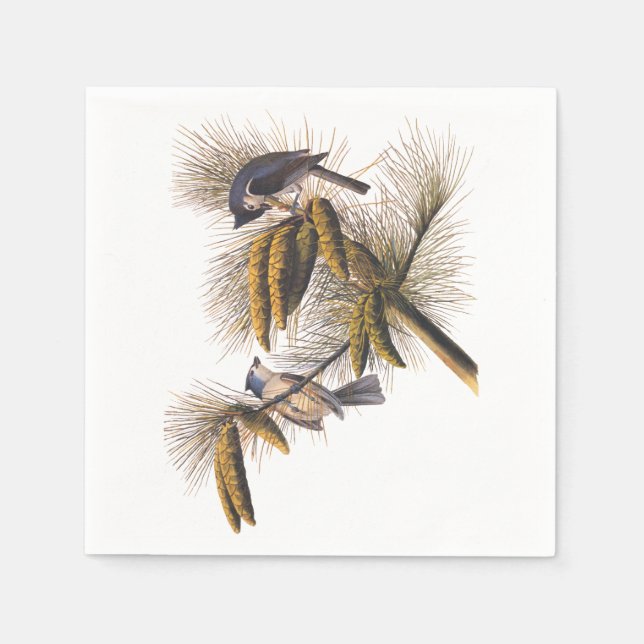Audubon Crested Titmouse Cocktail Napkins (Front)