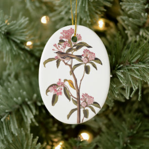 Audubon Cuvier's Kinglet Mystery Bird Ceramic Ornament