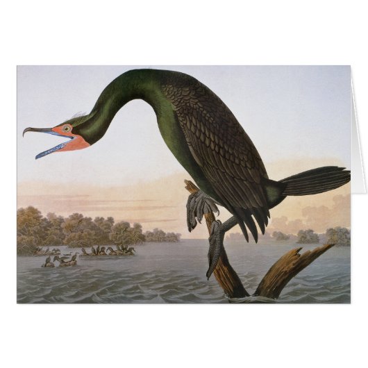Audubon: Double Crested Cormorant Cards (Front Horizontal)