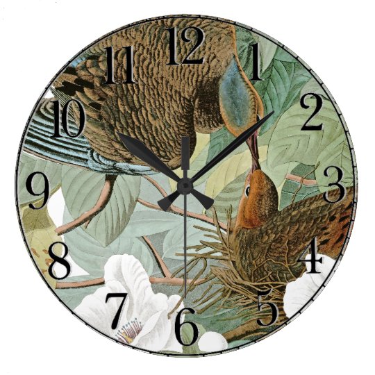 Audubon Dove Bird Animal Wildlife Wall Clock | Zazzle.com