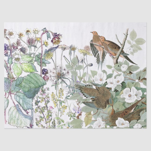Audubon Dove Bird Wildflower Flowers Tissue Paper (Front)