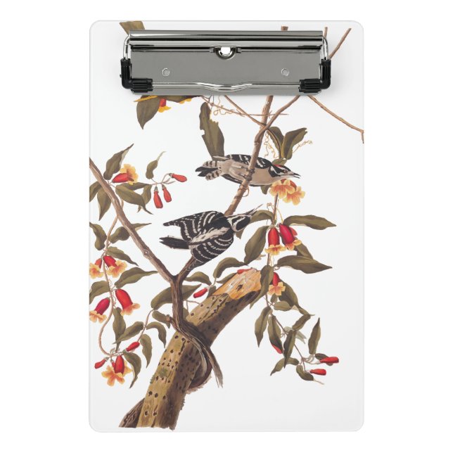 Audubon Downy Woodpecker Couple with Flowers Mini Clipboard (Front)