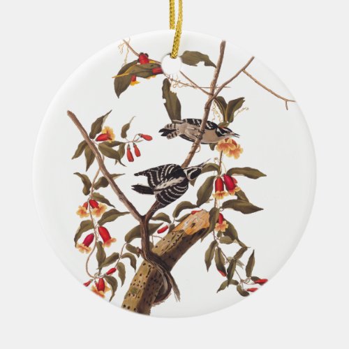 Audubon Downy Woodpecker Pair Ceramic Ornament