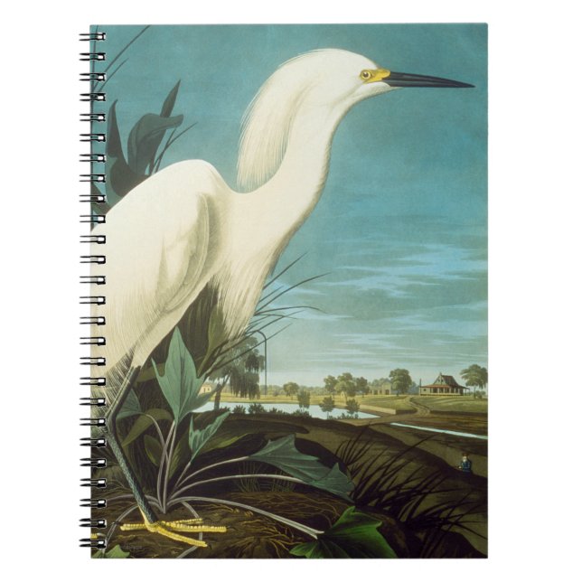 Audubon: Egret Notebook (Front)