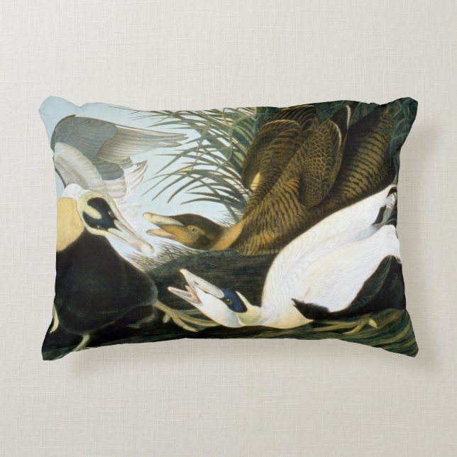 Audubon: Eider Duck Accent Pillow (Front)