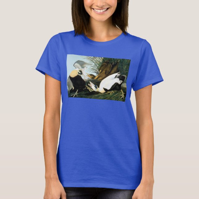 Audubon: Eider Duck T-Shirt (Front)