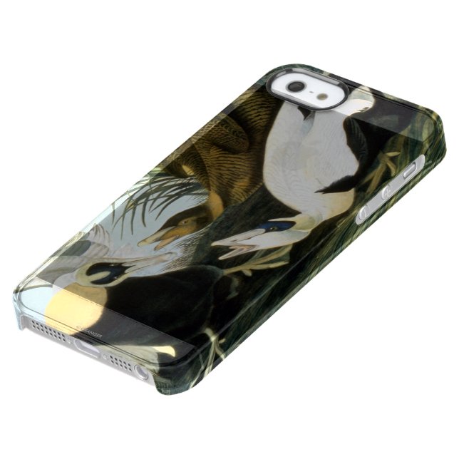 Audubon: Eider Duck Uncommon iPhone Case (Bottom)