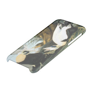 Audubon: Eider Duck Clear iPhone 6/6S Case