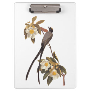 Audubon Fork-Tailed Flycatcher Bird Vintage Art Clipboard