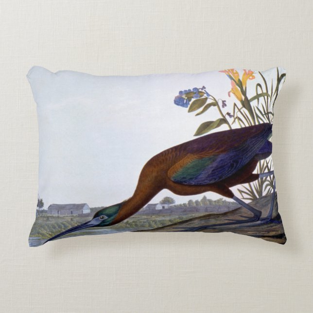 Audubon: Glossy Ibis Accent Pillow (Front)