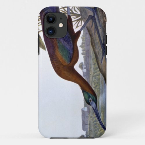 Audubon Glossy Ibis iPhone 11 Case