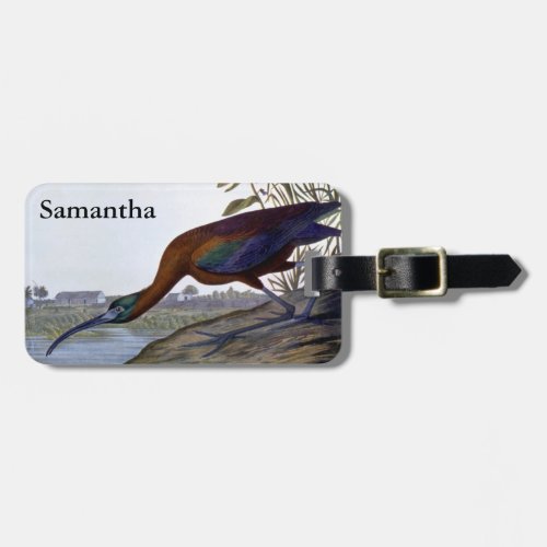 Audubon Glossy Ibis Luggage Tag