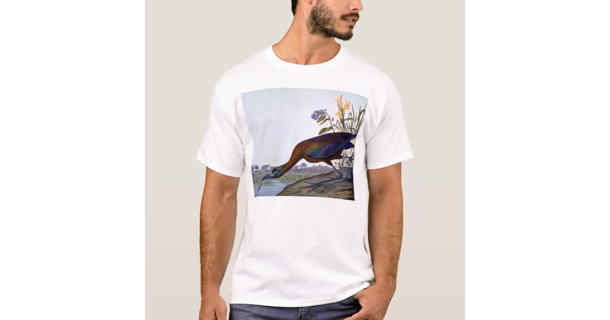 Audubon: Glossy Ibis T-Shirt | Zazzle