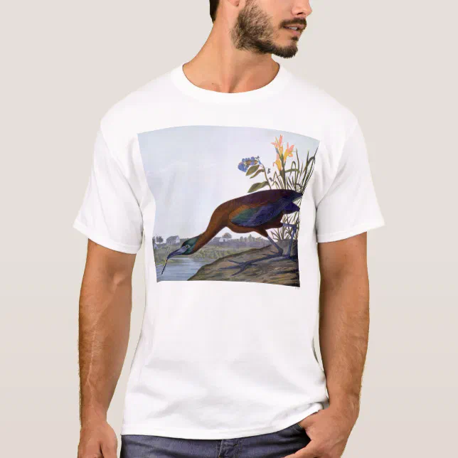 Audubon: Glossy Ibis T-Shirt | Zazzle
