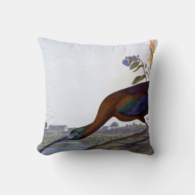 Audubon: Glossy Ibis Throw Pillow (Front)