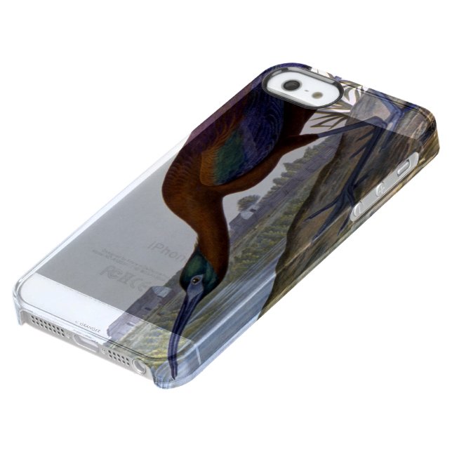 Audubon: Glossy Ibis Uncommon iPhone Case (Bottom)