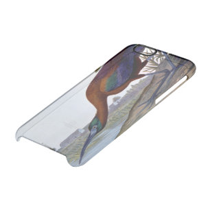 Audubon: Glossy Ibis Clear iPhone 6/6S Case