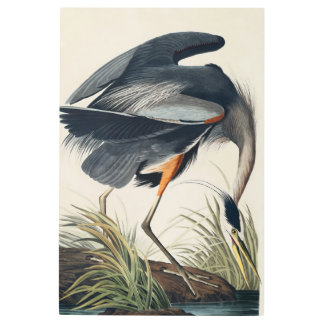 Audubon Great Blue Heron 1834 Plate CCXI Metal Print
