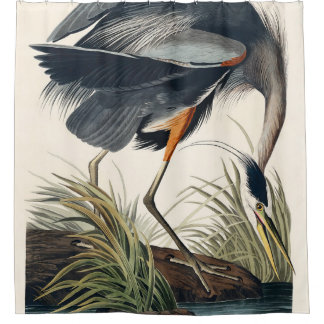 Audubon Great Blue Heron 1834 Plate CCXI Shower Curtain