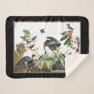 Audubon Great Blue Heron Birds Sherpa Blanket