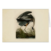 Audubon Great Blue Heron Marsh Bird (Front Horizontal)