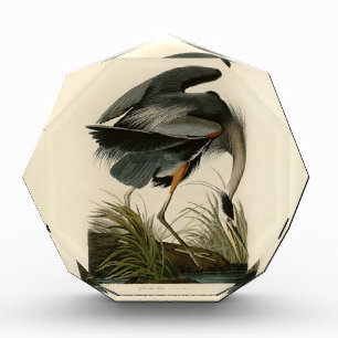 Audubon Great Blue Heron Marsh Bird Acrylic Award