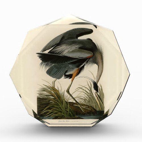 Audubon Great Blue Heron Marsh Bird Acrylic Award