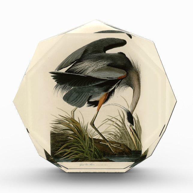 Audubon Great Blue Heron Marsh Bird Acrylic Award (Front)