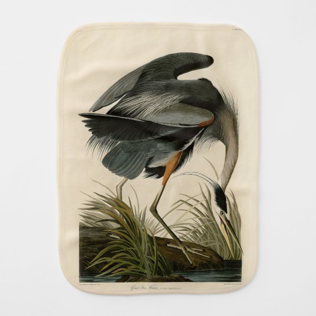 Audubon Great Blue Heron Marsh Bird Baby Burp Cloth (Front)
