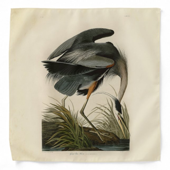 Audubon Great Blue Heron Marsh Bird Bandana (Front)