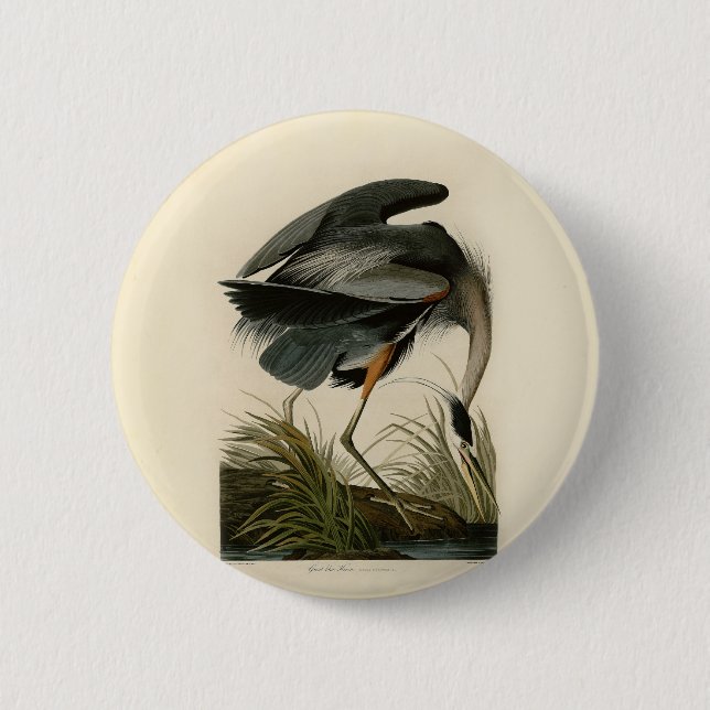 Audubon Great Blue Heron Marsh Bird Button (Front)