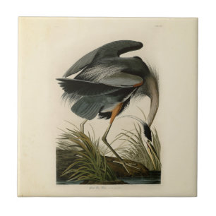 Audubon Great Blue Heron Marsh Bird Ceramic Tile